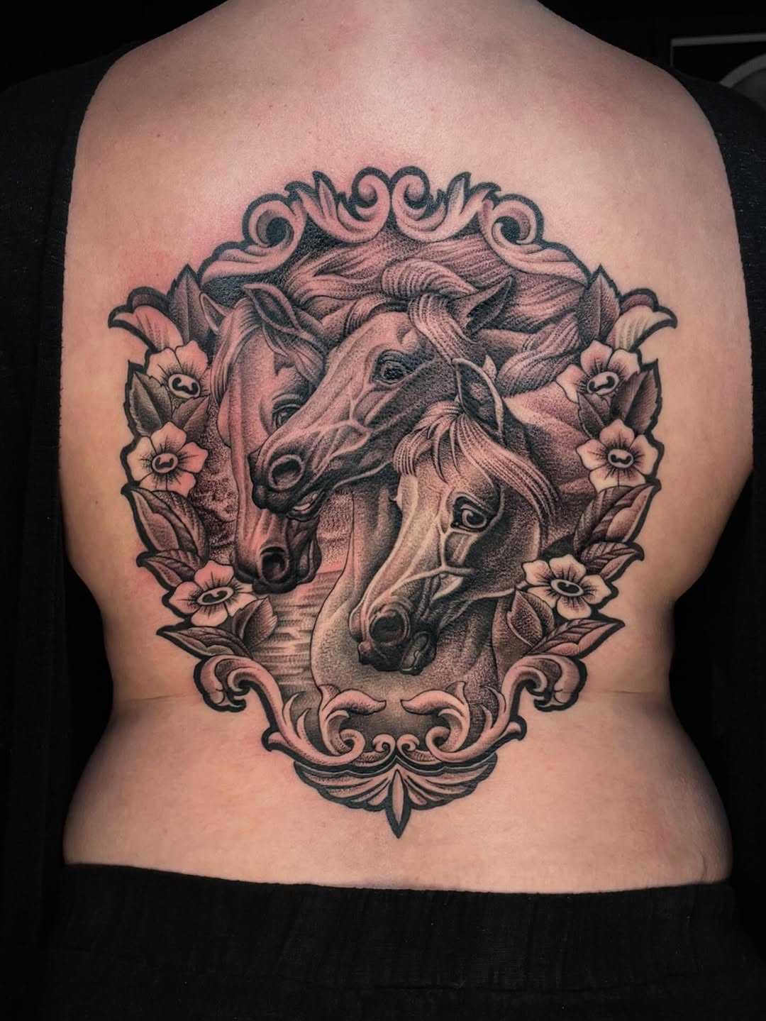 Pharaohs Horses Backpiece Tattoo for @sidepiece.ink || done at @rosetattoosandiego using @sombragrays 

Some healed, some fresh. Adding on more to the