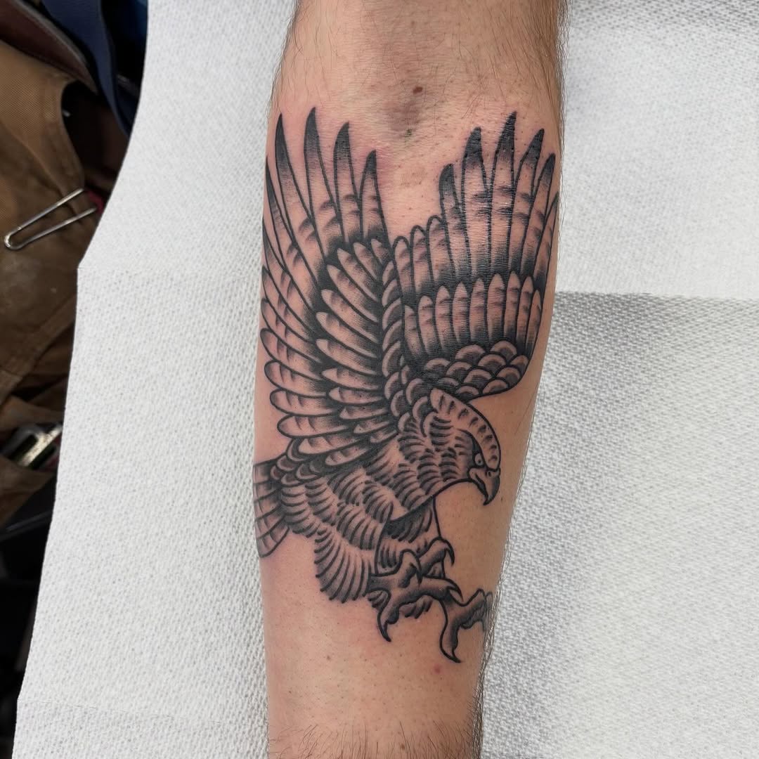 A white hawk from today.  @boundlesstattooco