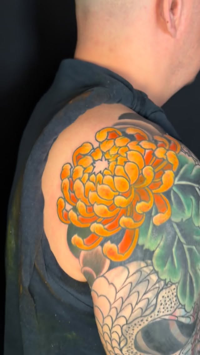 Snakes and chrysanthemum sleeves two in the works, and one finally covering the majority of the masive existing Tattoos. Can’t go wrong with snakes an
