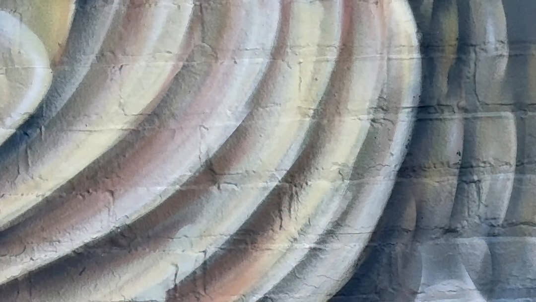 Fish on!! 

That’s a wrap for the first outdoor mural of 2026!!