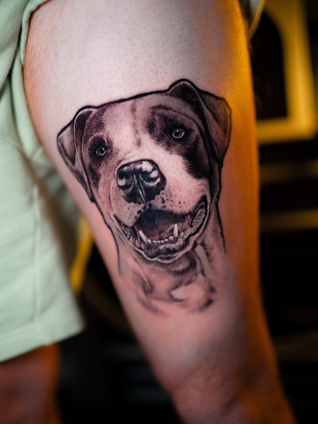 Pet portraits are always special 
Nothing better than turning someone’s best friend into a forever piece
Thanks for the trust 
#dogtattoo #arlingtonta