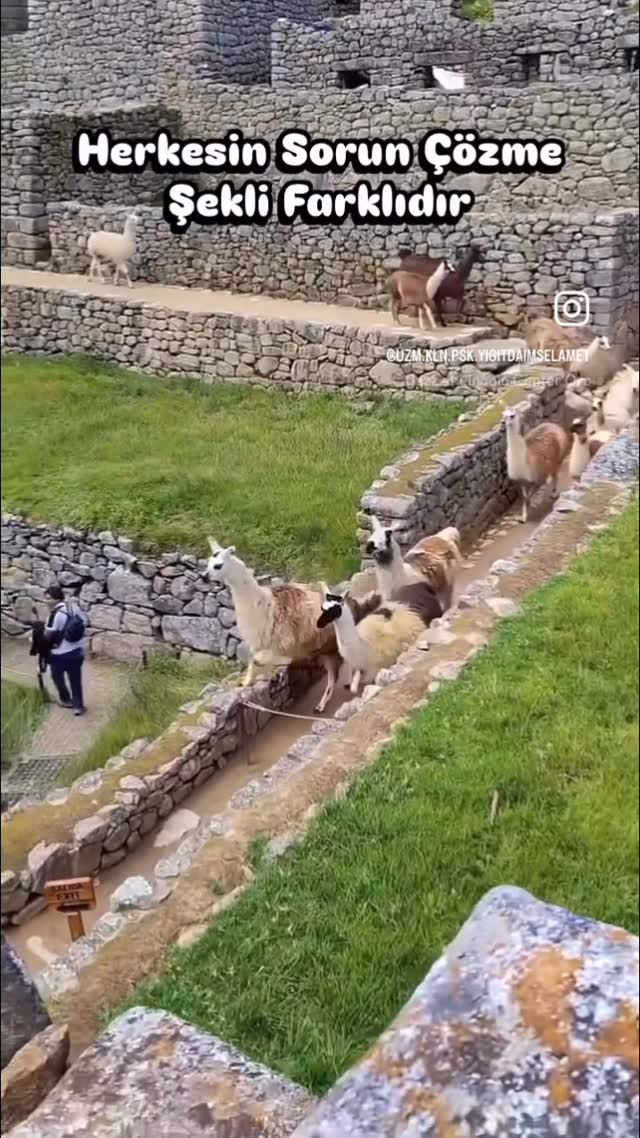 Tattoo by Eda İnanır