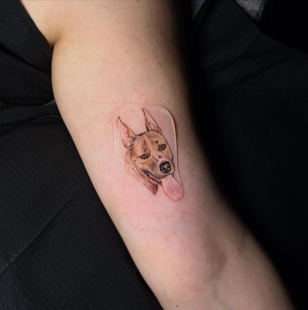 My first dog portrait after my seminar in Korea.
A new level of detail, patience, and love in every stroke 