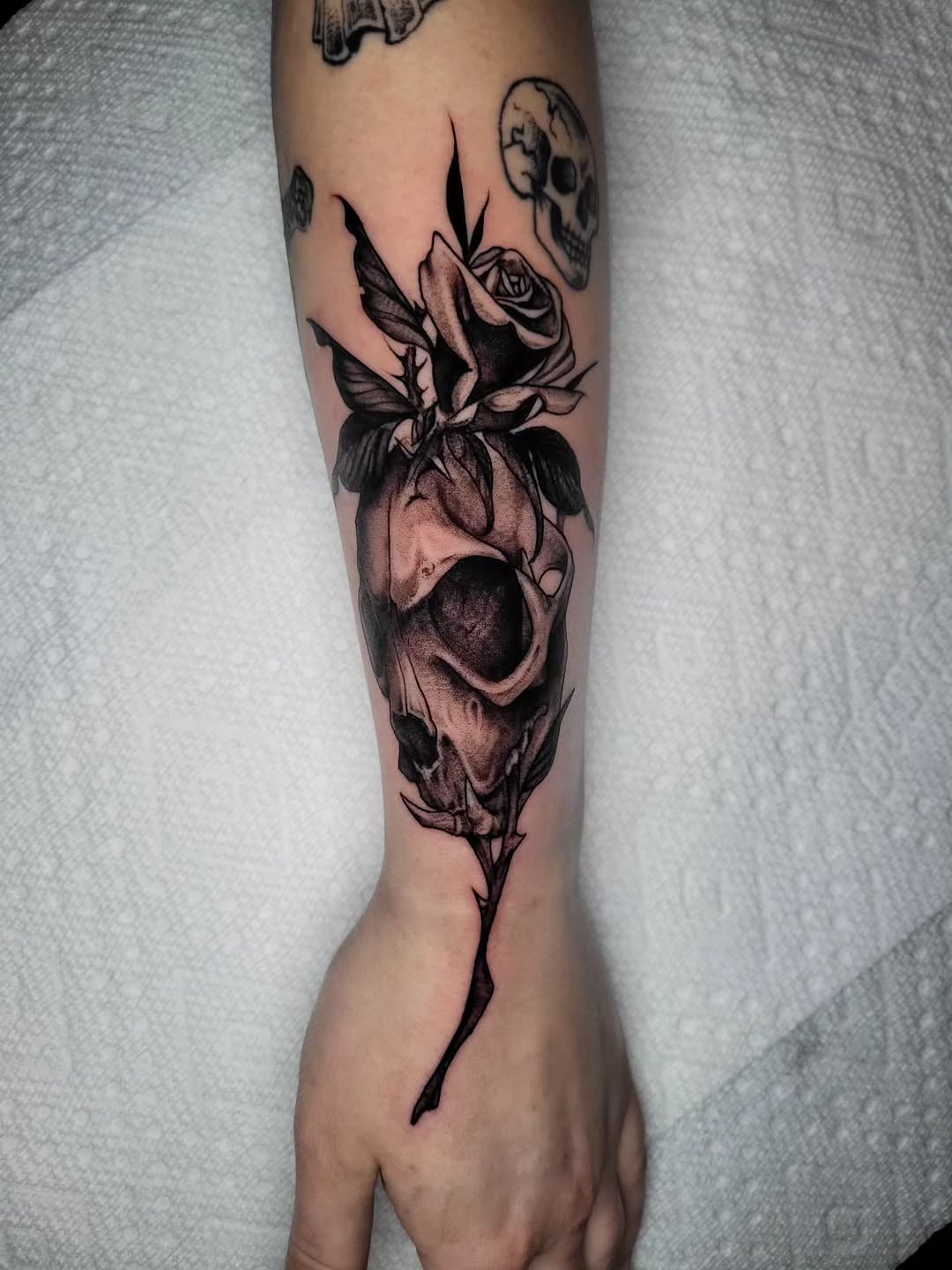 ✨️Howdy Heathens✨️
I know its been a long hiatus. I've come to find beauty and decay share the same stem.. They always have... Stay tuned for more upd