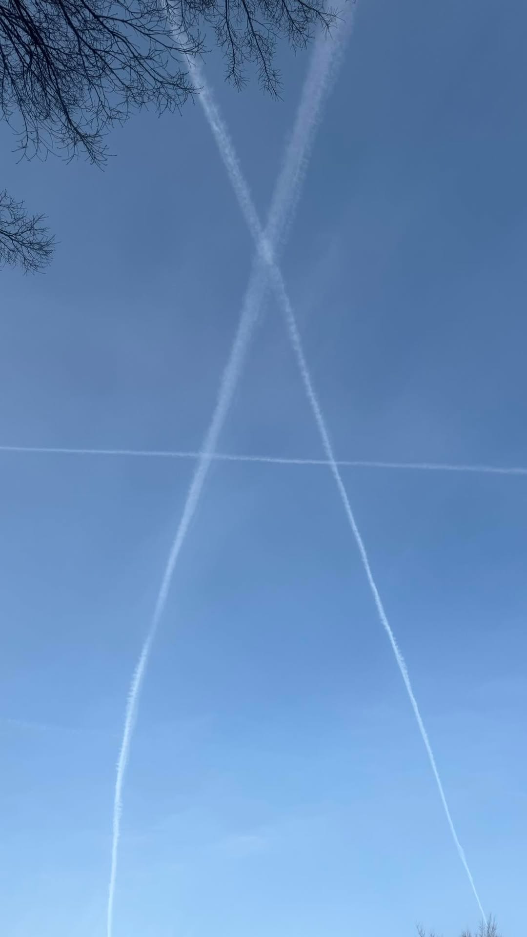 The skies are full of anarchy this morning. So many cross crossed lines already. Just in the short drive I just made, the blue in the sky has already 
