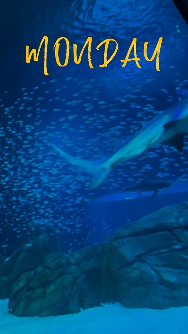#happymonday