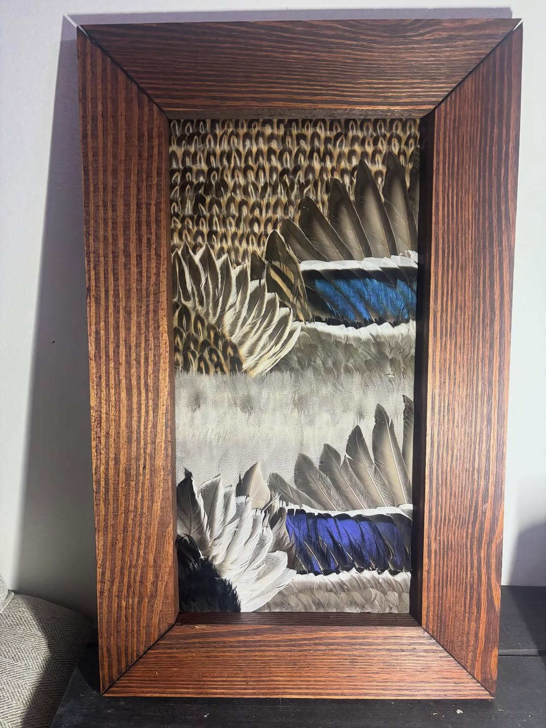 Started doing these feather mounts. If anyone has any birds they’d like done I’ll be accepting some orders to work on the next few months #art #ducks 