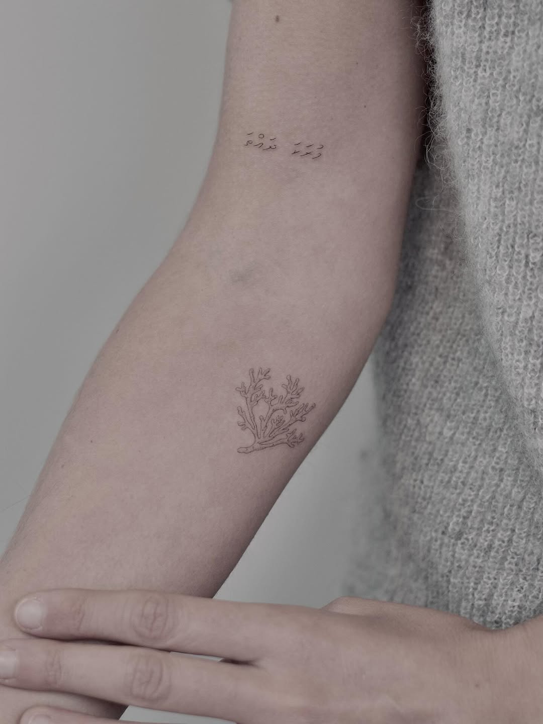 Corallino e scritta maldiviana

nell’ultima foto trovate i tatuaggi guariti

#tatto #finelinetattoos #fineline #seatattoo #sea