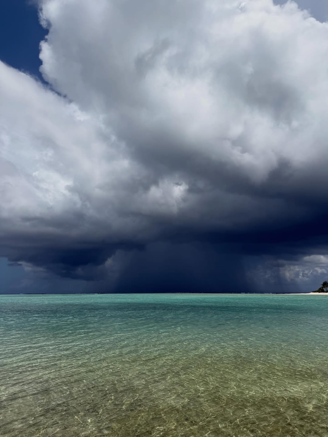 Ideal color palette for another time, another place