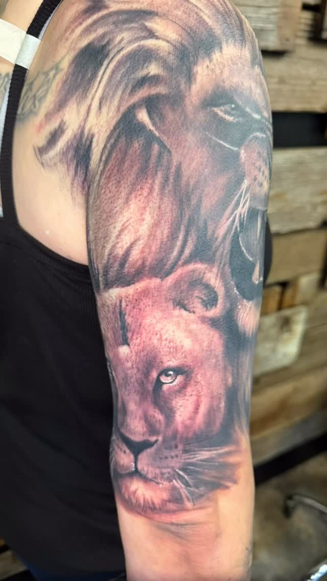 Super fun addition to Michelle’s arm. Came out from Arizona for a 2 day session one on each arm #jasonharless #dc_tattoo #LA #SF #LION