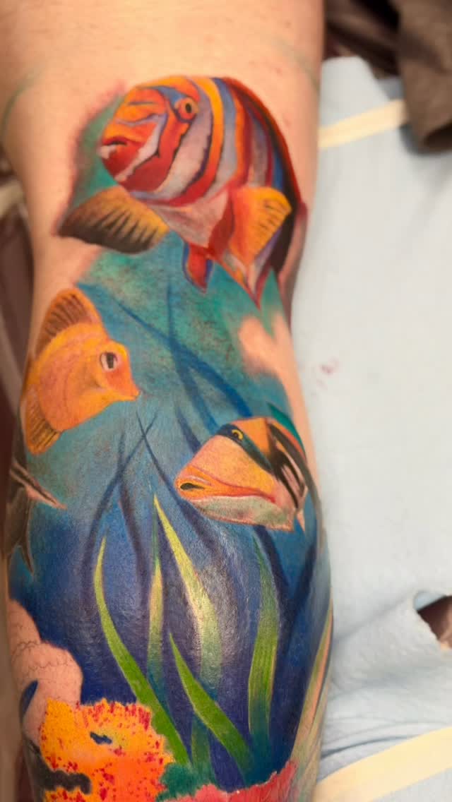 Added some more tropical fish to Robert’s leg sleeve. This one is progressing nicely!  #tropicalfish #ocean #dc_tattoo #jasonharless #norcal