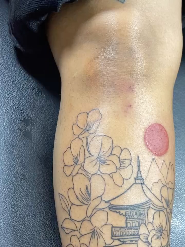 First session: Japanese temple with cherry blossoms. Appointments available, come get this work. 
#inkgrind #johnsin #tattoo #dmv #coolkidsneversleep