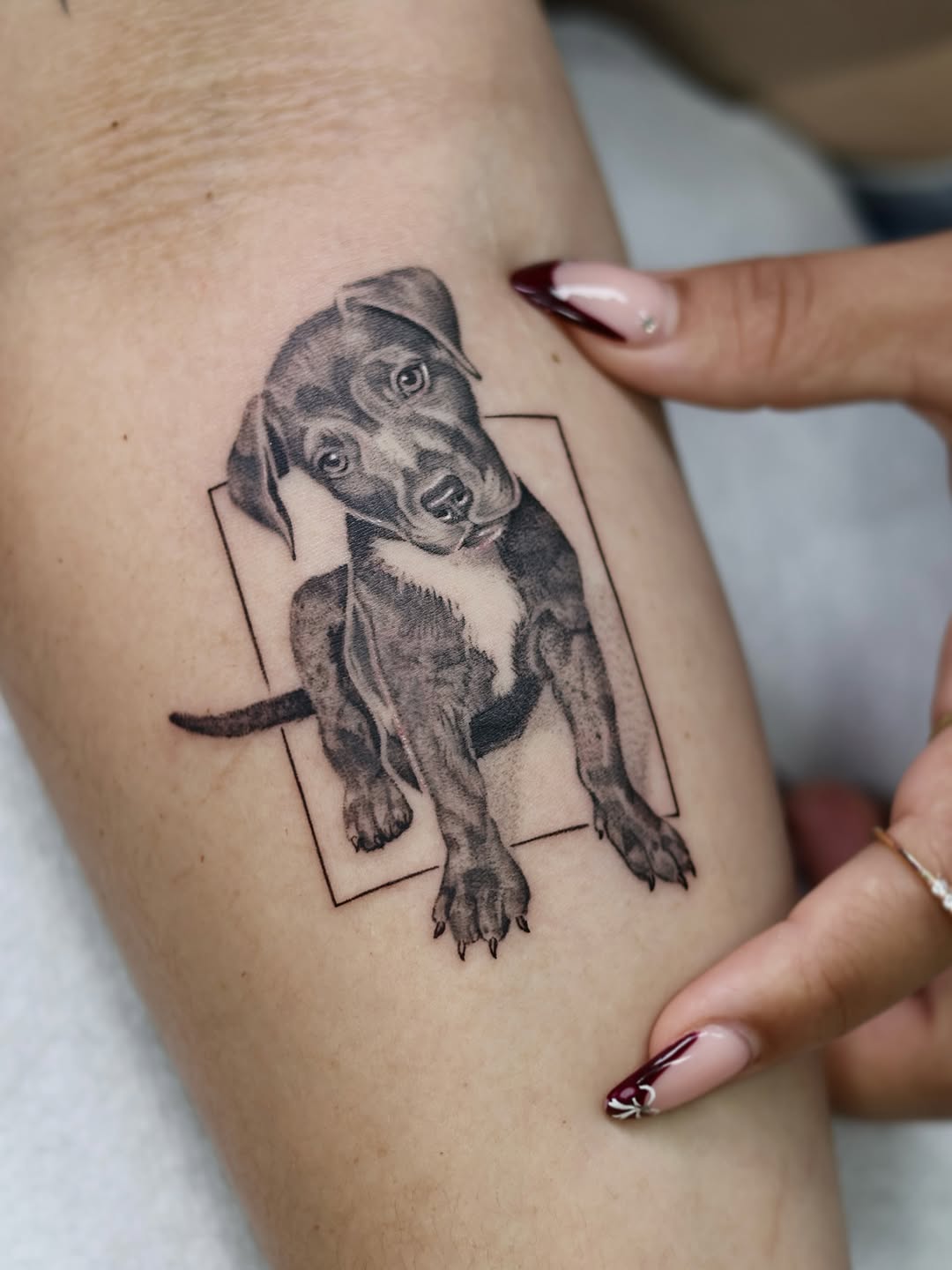 That’s Family  

• Thank you so much for coming Alison! 
• Appointments available! I have 20% off on any small animal composition. 
• DM me for any qu