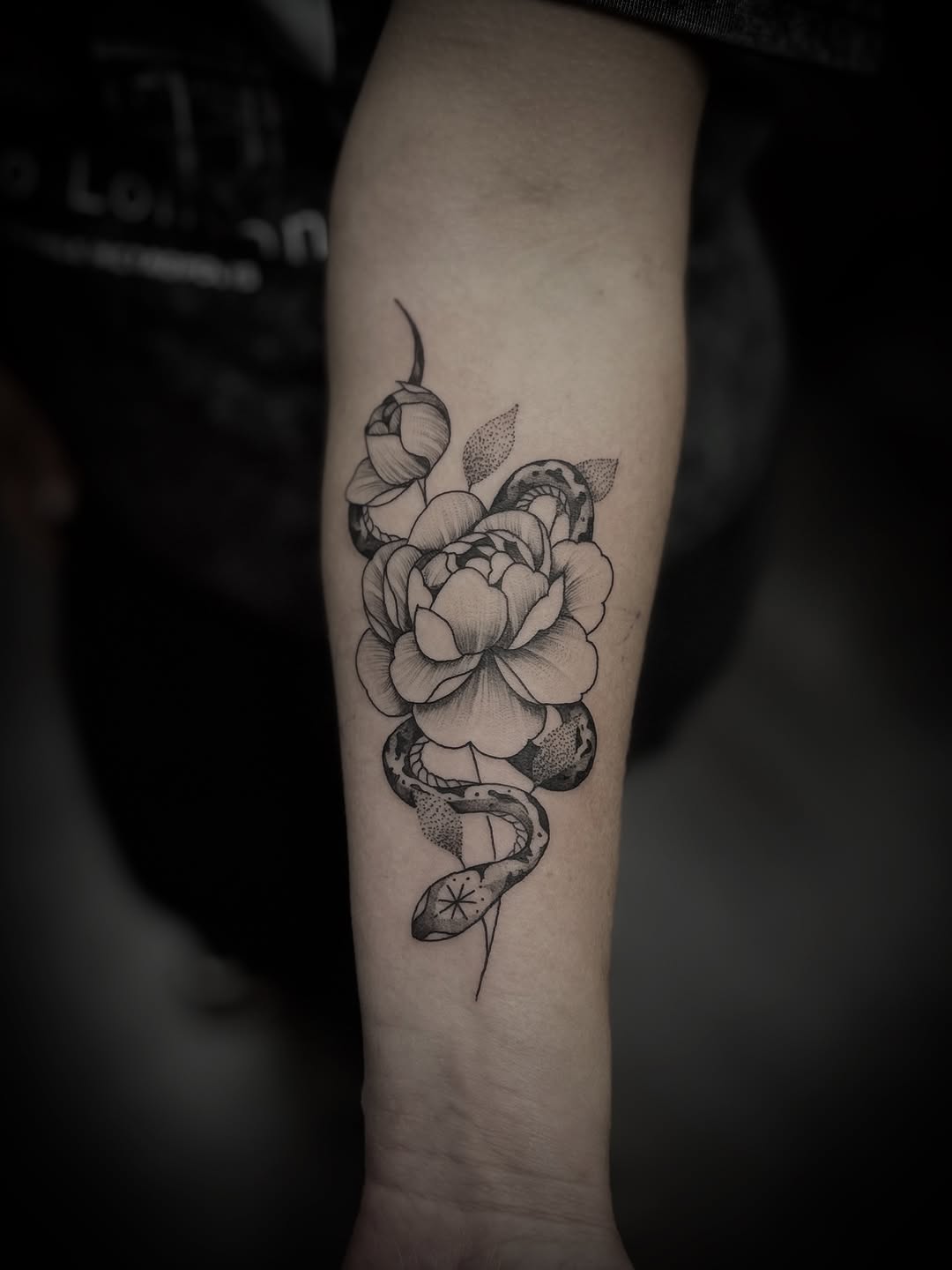 ⚜️ bist du bereit dein nächstes Tattoo zu planen und umzusetzen? 

‼️Aktuell haben wir wieder Terminvergabe‼️

Aber wie erreicht ihr uns am besten? 
G