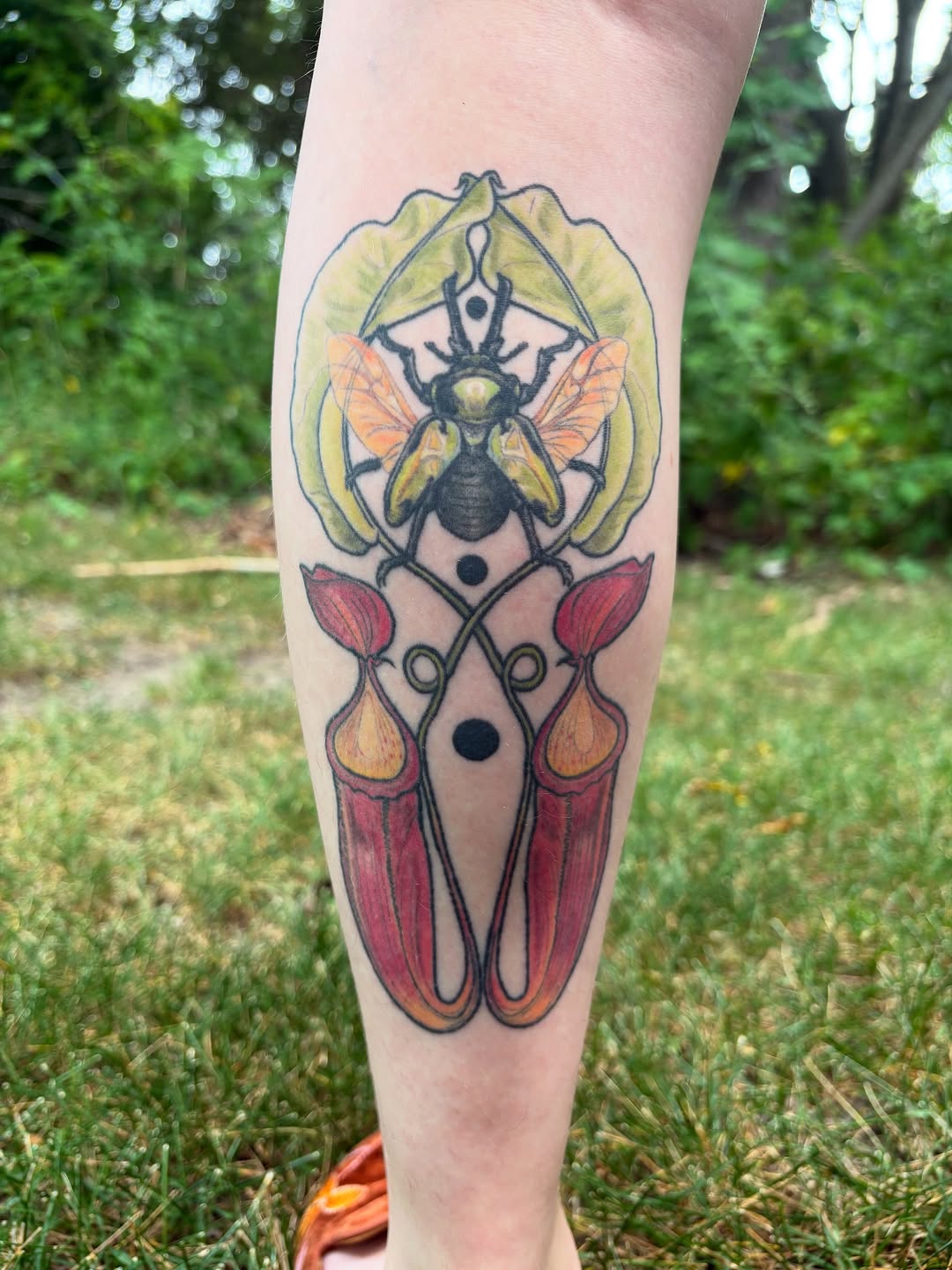 HEALED • LOVE LOVE LOVE how this piece for my carnivorous plant series healed up  finally seeing it up close in person a year later has me thinking th
