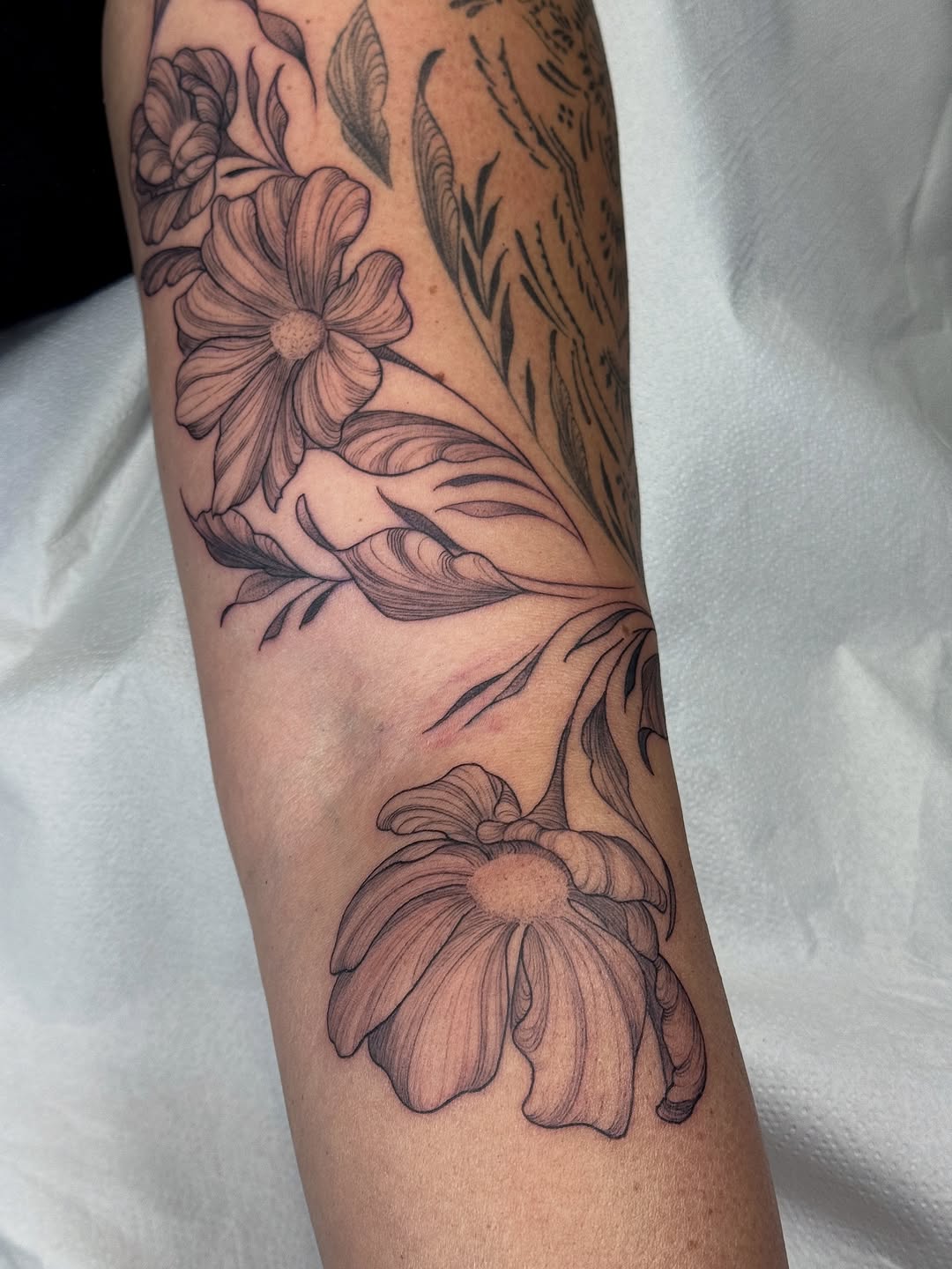 Magie des fleurs ☘️