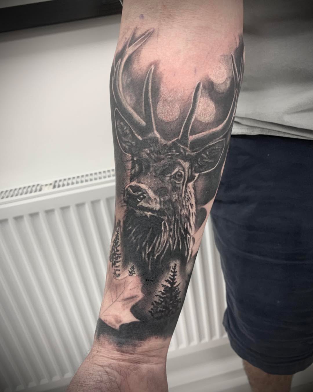 Stag tattoo as part of ongoing sleeve by @steve_does_tattoos
For appointments/enquiries DM or email steven_marshall24@yahoo.co.uk









#wildlifeta