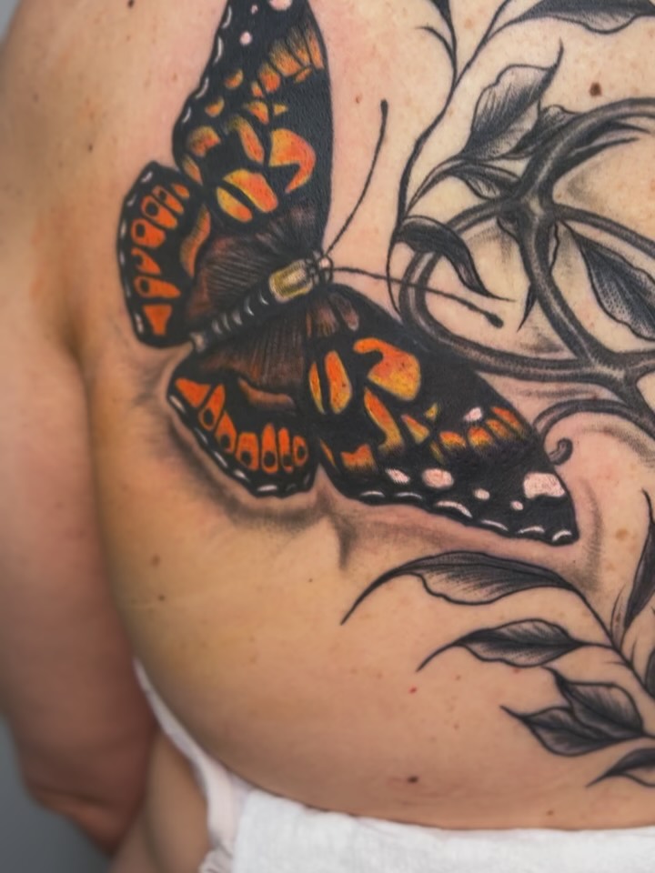 Color added to this back piece ✔️
#tattoo #yegtattoo #tattooartists #backpiece