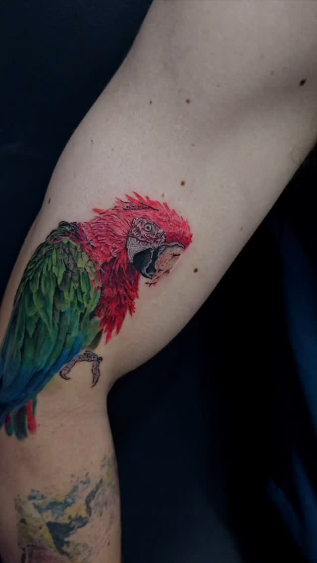 #zombie #parrot i had the pleasure doing. #tattoo #tattoos #artist #art #urbansedgetattoocare #realism #realistictattoo #cheyennecartridges