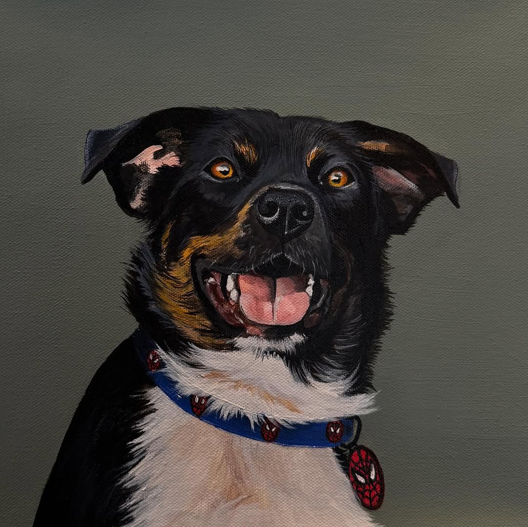 DM to order a pet portrait ✨
.
#acrylicpainting #petportrait #petportraitpainting #art #painting #animals #pers #dog #cat #catportrait #dogportrait