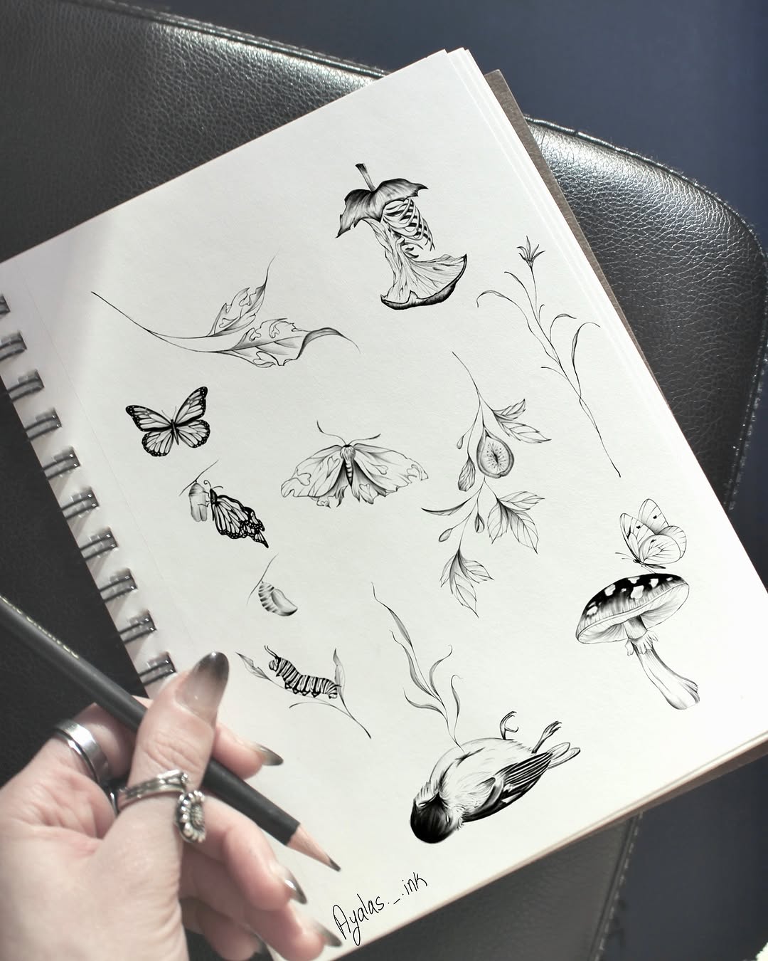 Rot&Rebirth
Designs available !¡
Dm or use link in bio to book 