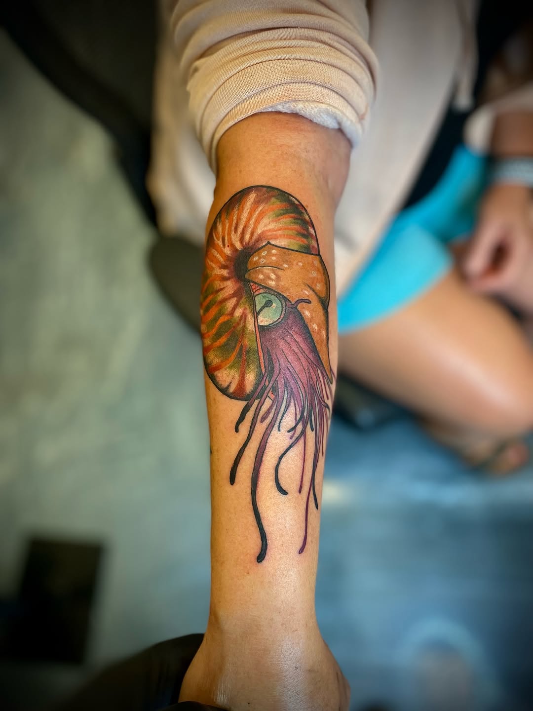 Oldie but a goodie.
Nautilus piece from a while back. Always happy to do more like this.

—

tattoo artist
nautilus tattoo
ocean tattoo
color tattoo
n