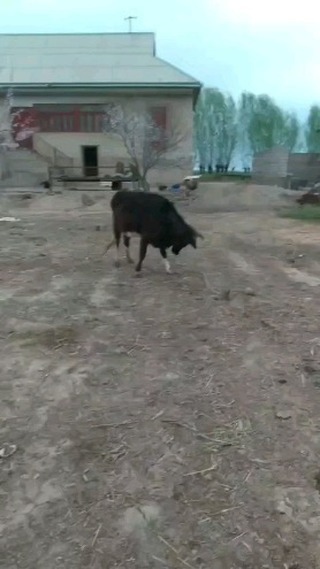 Tattoo by Om Tattoos Studio & Piercing Hub