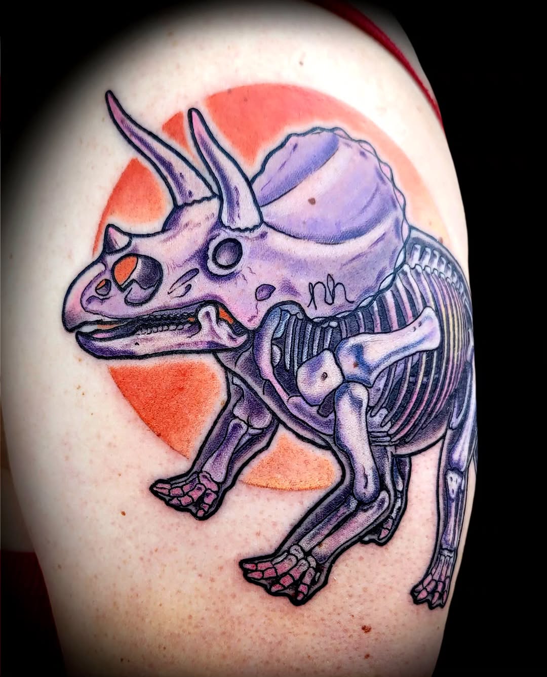 Triceratops skelly I made for Sierra
#dinosaurtattoo #triceratops #southernoregontattoo #oregontattooartist #grantspassoregon
