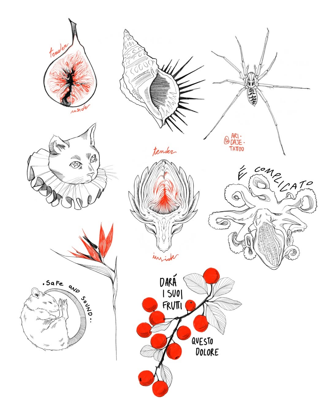 Disponibili⭐️
Agenda aperta
Info in DM