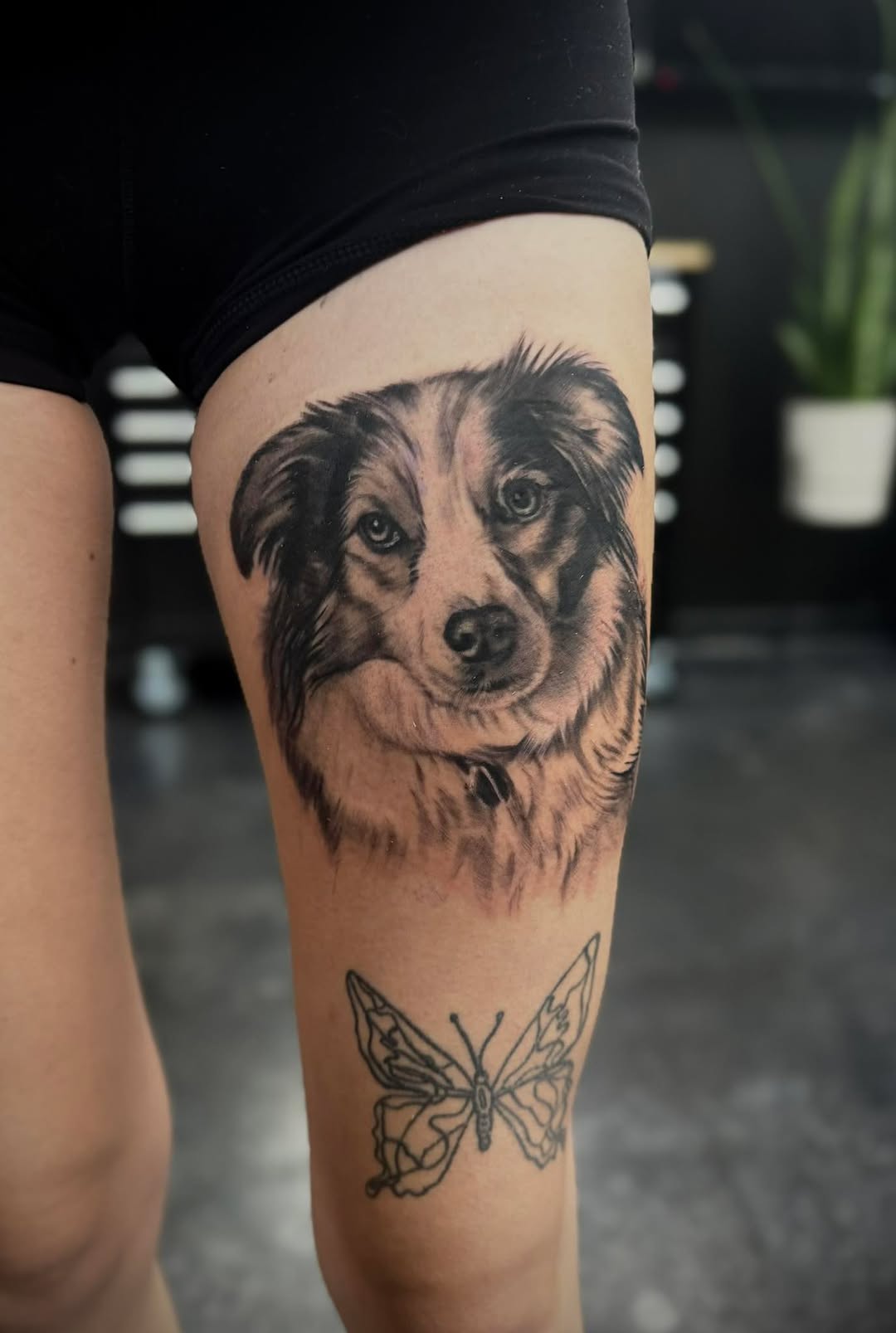 Had some last minute cancellations for Friday and Saturday this week, if you would like to slide in those spots message me or swing by the shop! 