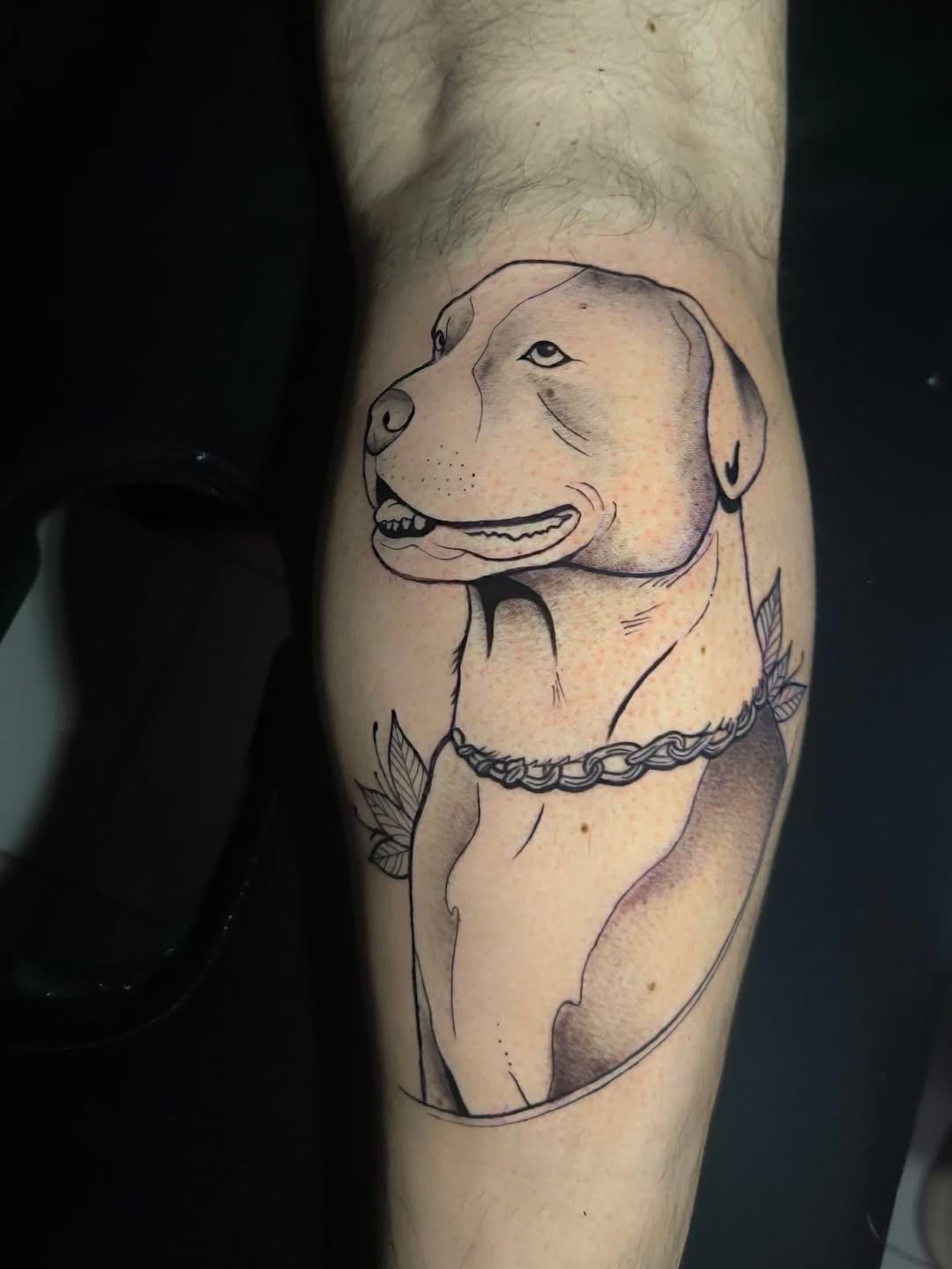 Un tatuaje que va más allá de la tinta: un homenaje eterno a ese compañero que dejó huella en el corazón ✨ Citas disponibles
#tattooperro #artetattoo 