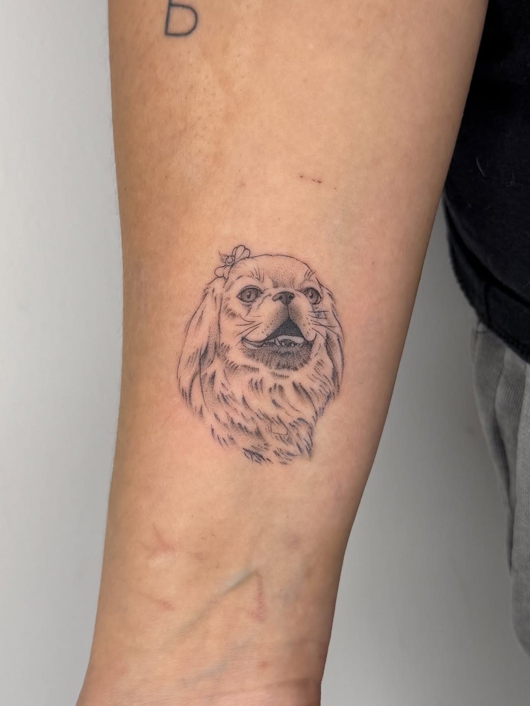 Портрет сладкой булочки 