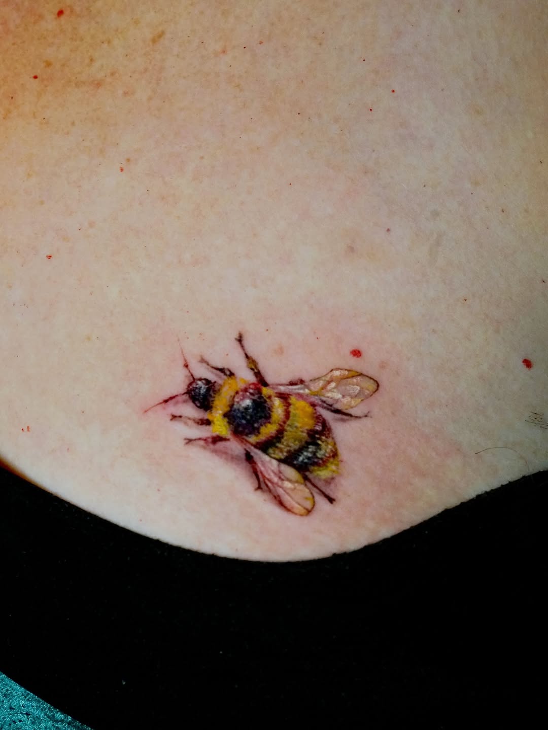 Abeja
Open availability Booking now!
Locations:
Orange County
@theblacklanternoc 
For bookings use the link in bio
Or DM me.
For inquiries and questio