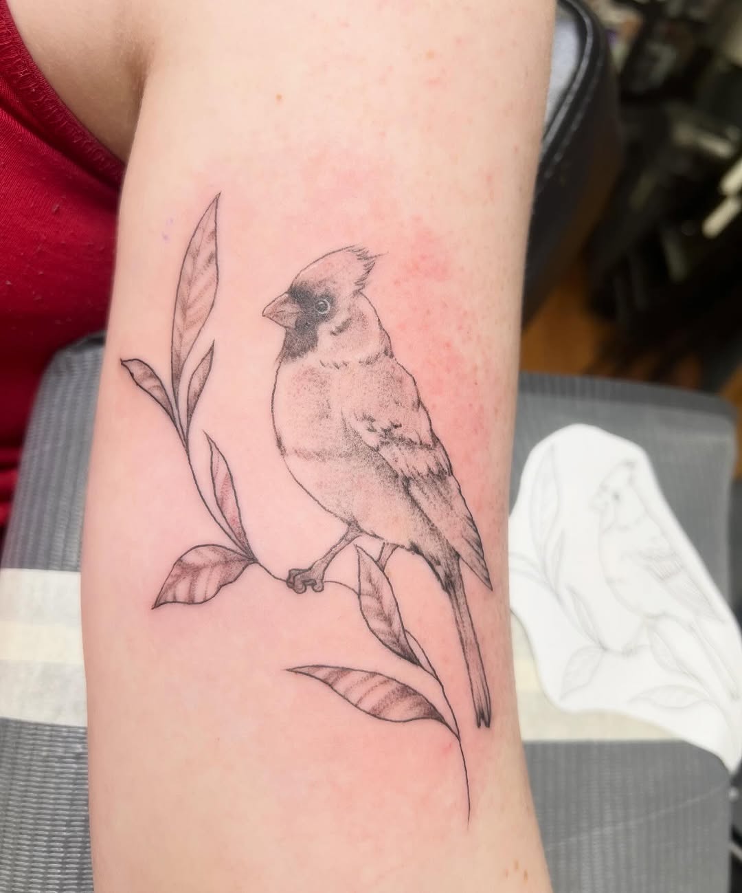 Birb @darkhearttattoo