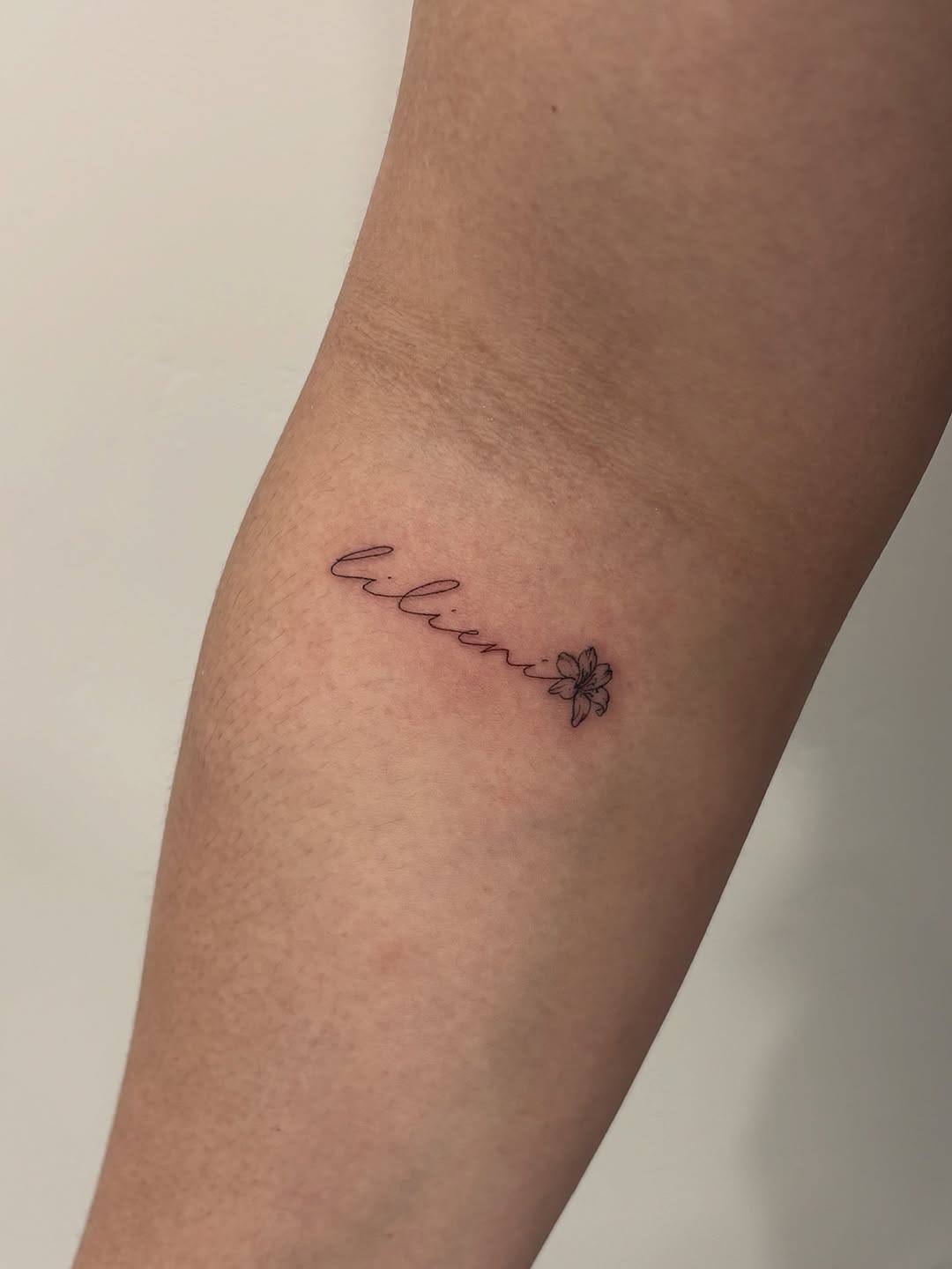 hi. hello there, script is my jam. we know this 
-
#utahtattoo #utahtattooartist #utahfinelinetattoo #utahfinelinetattooartist #utahscripttattoo