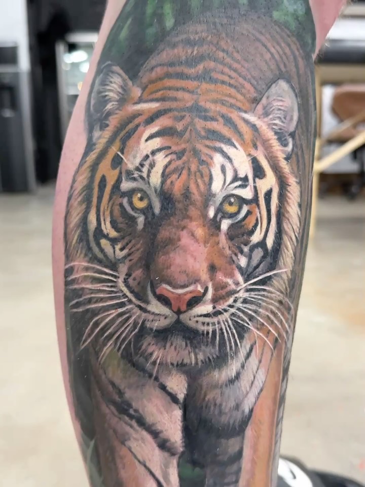 I’m stoked to showcase Isaac’s Tiger! I absolutely love big cats and this is the first time I’ve attempted a large scale full color realism piece. Thi