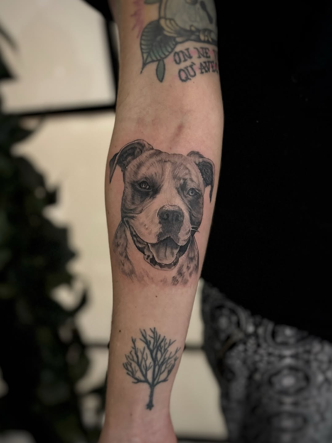 I did this sweet sweet girl yesterday. Thank you for the trust @prdn_myfrench 

-

#tattoo #tattooartist #tattooapprentice #newartist #newtattoo #juni