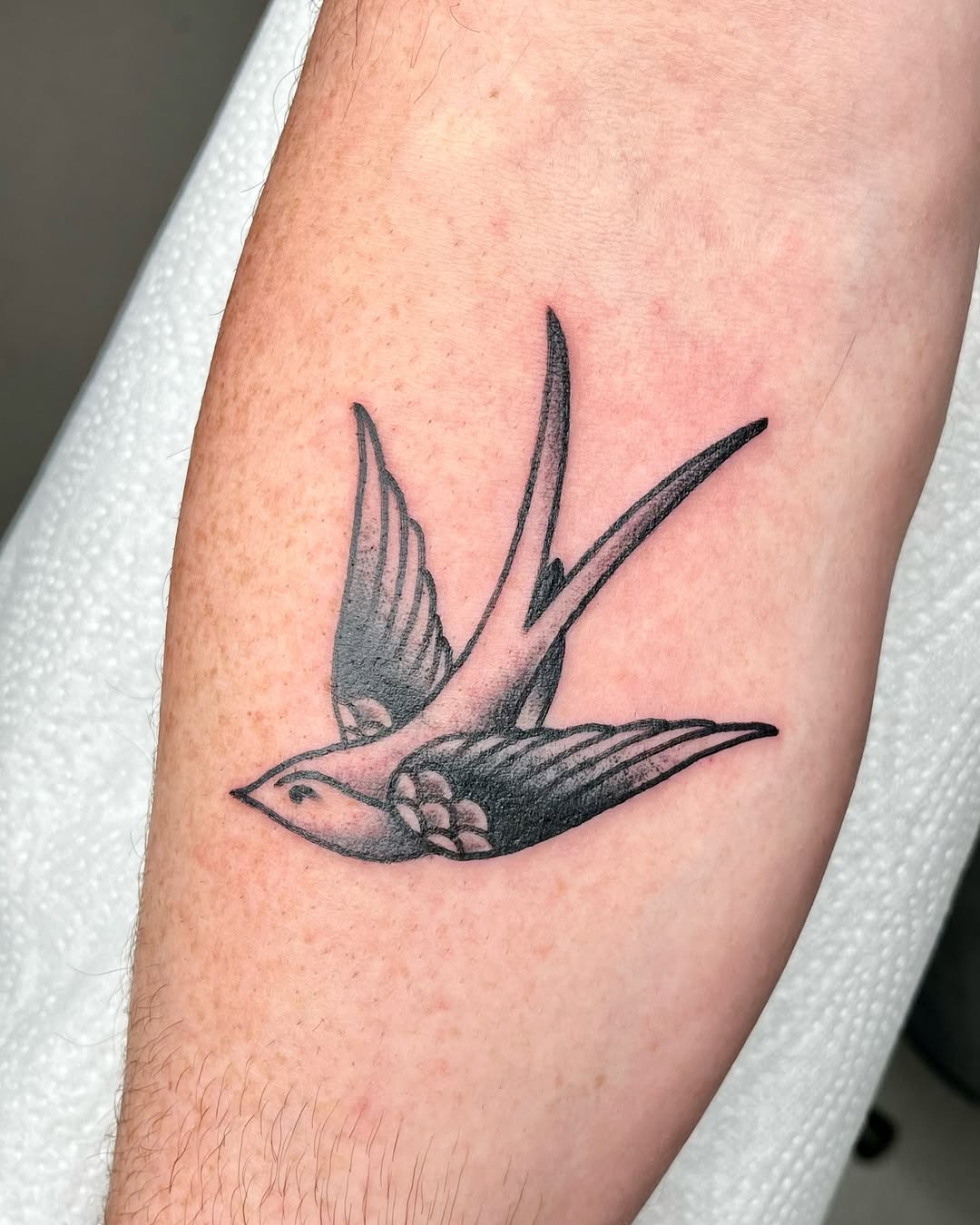straight from my flash book.
swallows are such a cool, classic traditional design. they always work.
✦ ✦ ✦
info & booking via DM.
@charptattoo
@3birds