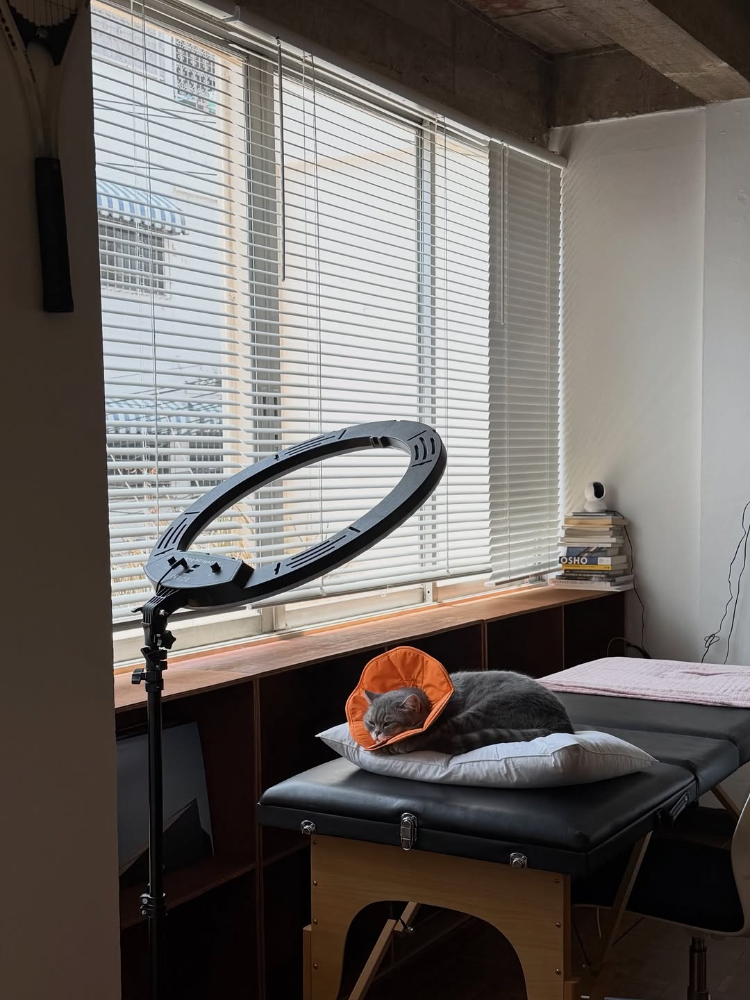 spent the day with amazing @dawn_is__coming ✏️