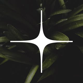 Anarchy.Ink Studio - Soundwave tattoo artist in Hà Nội, Vietnam