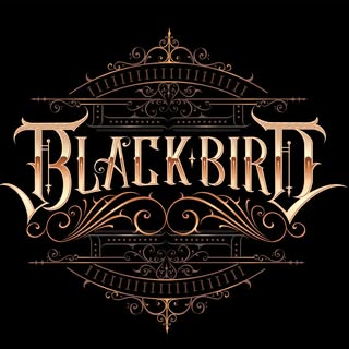 Black Bird Studio - Soundwave tattoo artist in Mebane, United States