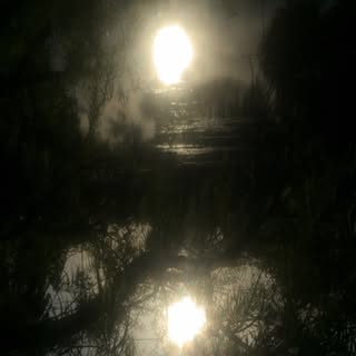 Clara Bonavita - Soundwave tattoo artist in null, Uruguay