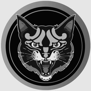 Gatto Matto Tattoo Studio - Soundwave tattoo artist in Campinas, Brazil