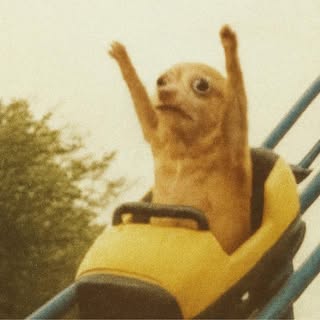 Jeisi Weishaar - Soundwave tattoo artist in Warren, United States