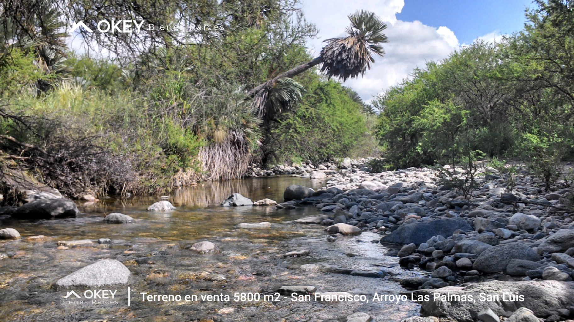 Terreno en Venta en San Francisco, 5800m2, Bosque Nativo,  - San Francisco del Monte de Oro