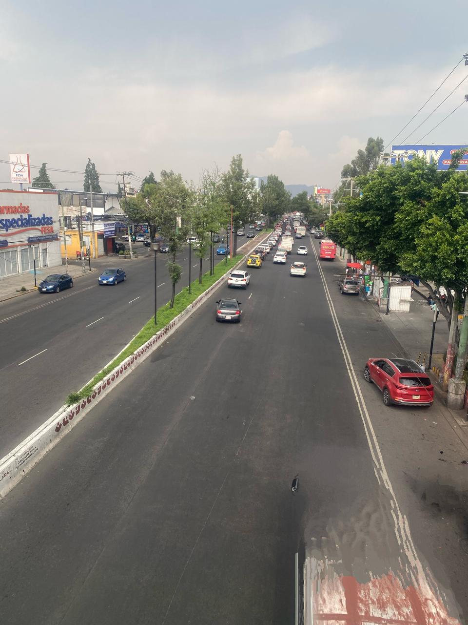 Miniatura 9