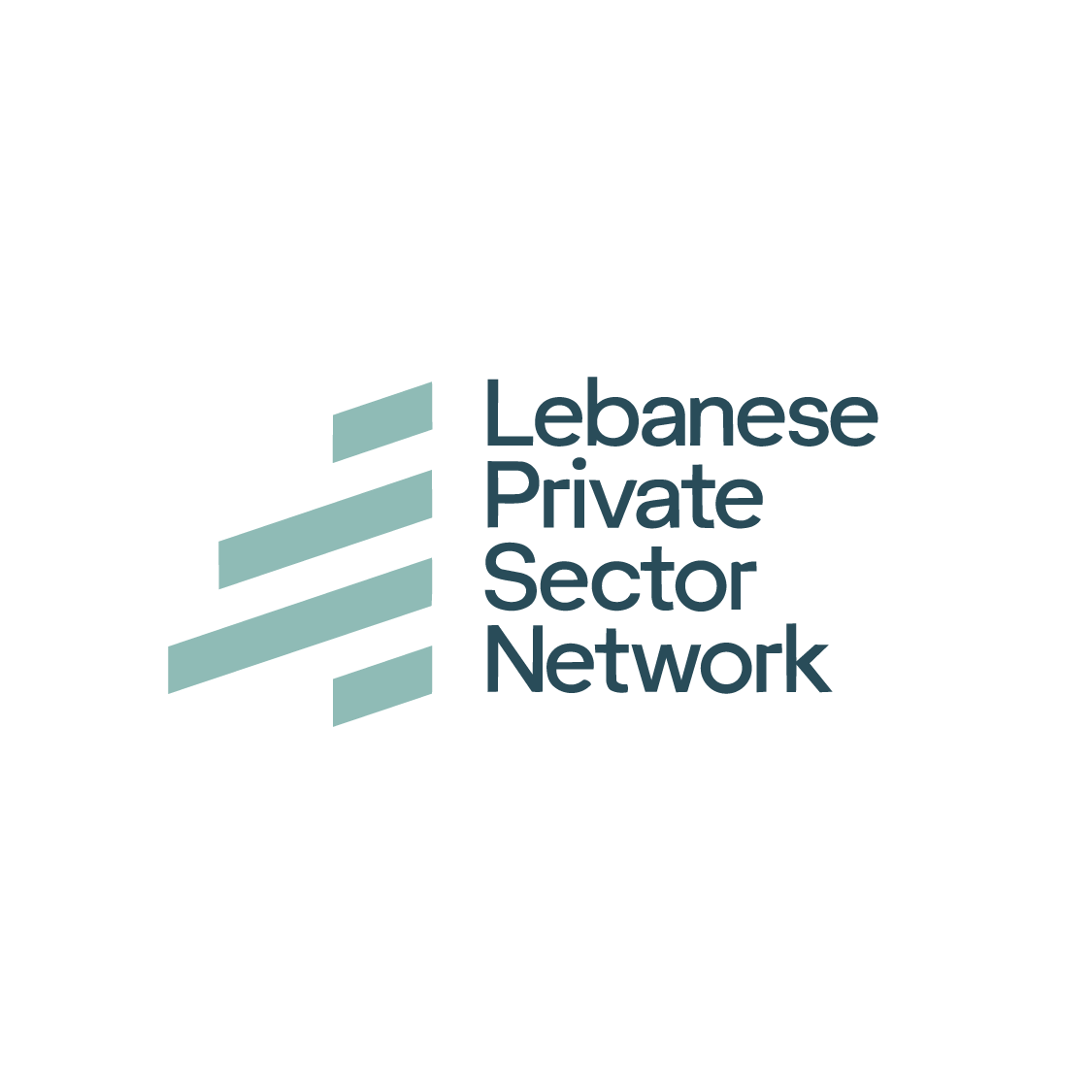 Lebanese Private Sector Network