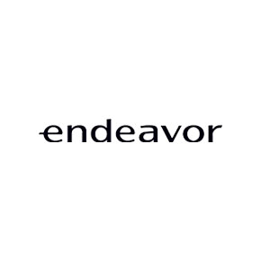 endeavor