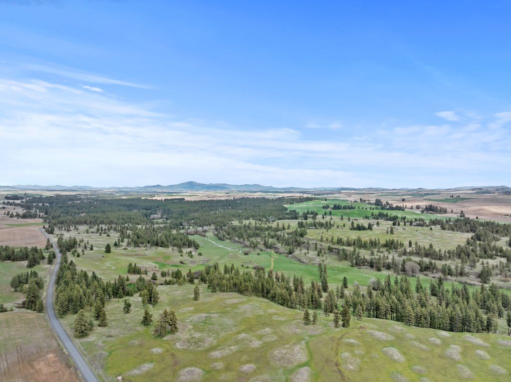 Inside-Spokane-North Pine-1