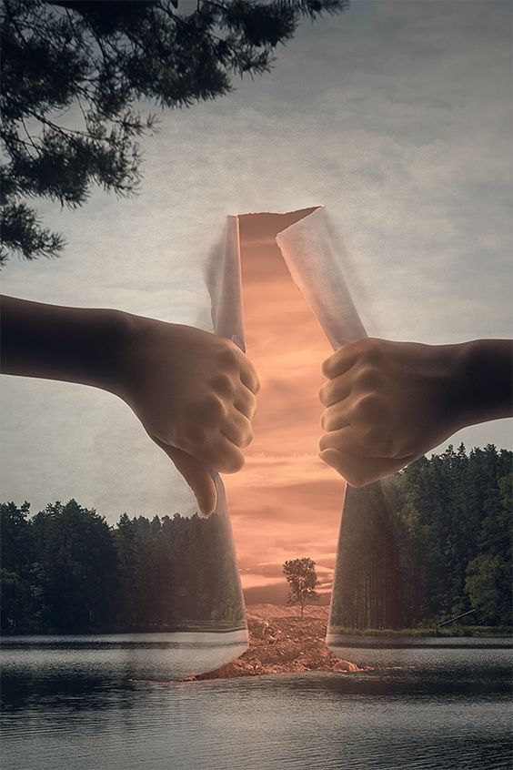 Illusion of Choice: the Limits of Free Will